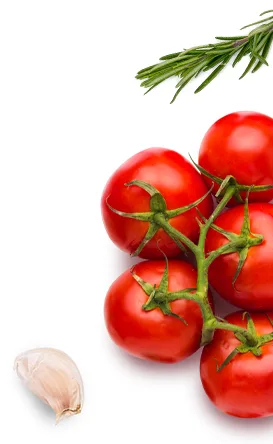 Vega Baja Conservas | ingredientes private label