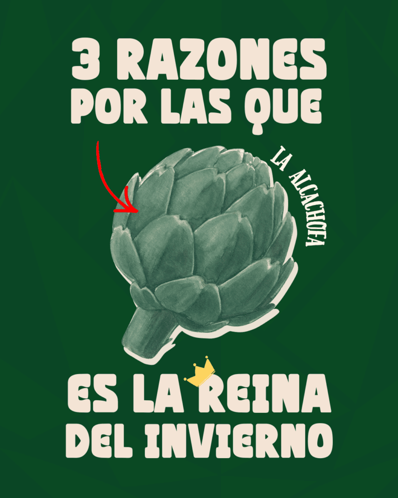 Plato sencillo con alcachofas en conserva y verduras