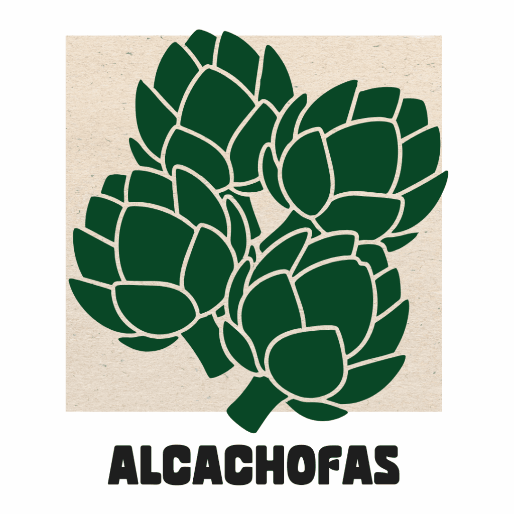 Vega Baja Conservas | Alcachofas en conserva Vega Baja 4