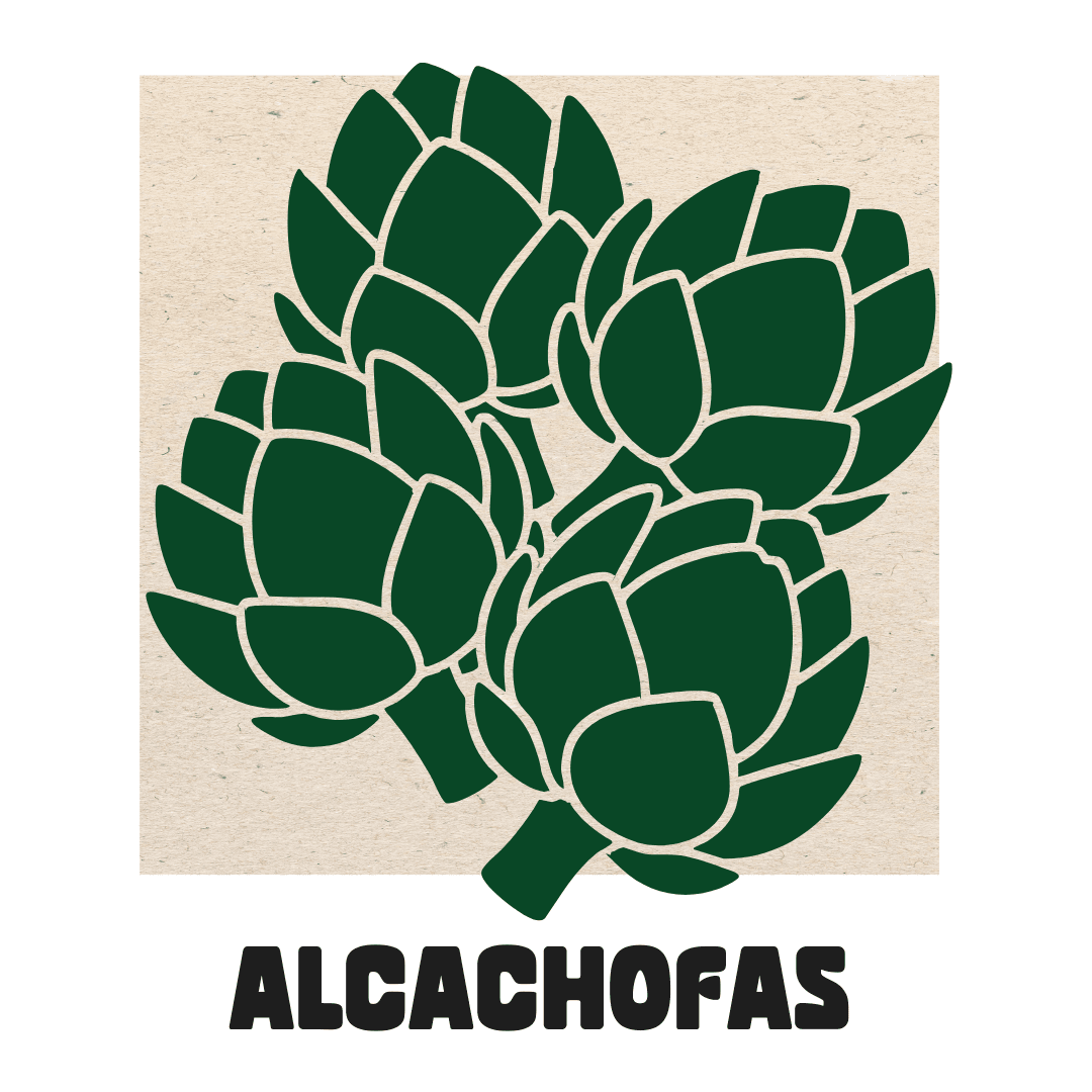 Vega Baja Conservas | Alcachofas en conserva Vega Baja 4